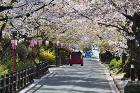 🙏 조동종 영송산 용천사(소토슈 에이쇼잔 류센지) 이미지 4